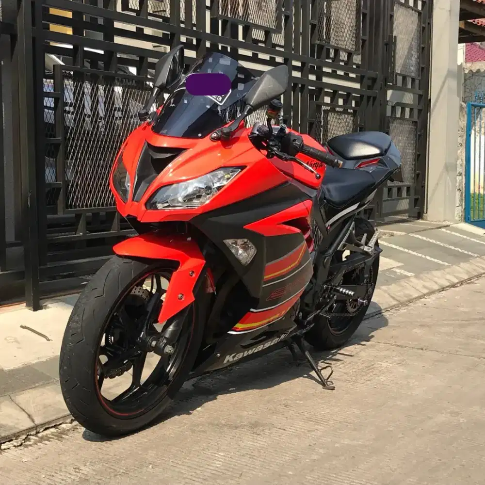 Kawasaki Ninja 250 SE FI 2013 ABS