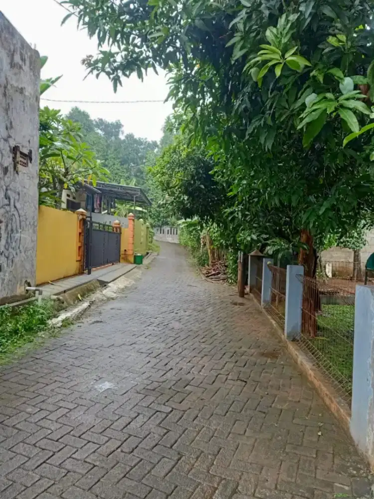 Rumah Tanah Luas Harga Murah (Nego)