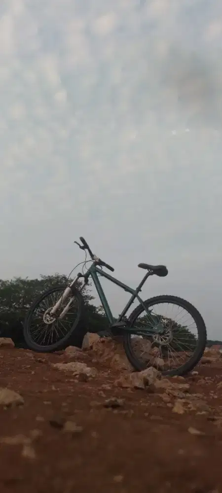 Mongoose Excursion 29 Wheels 21 Speeds Men's Mountain Bike -