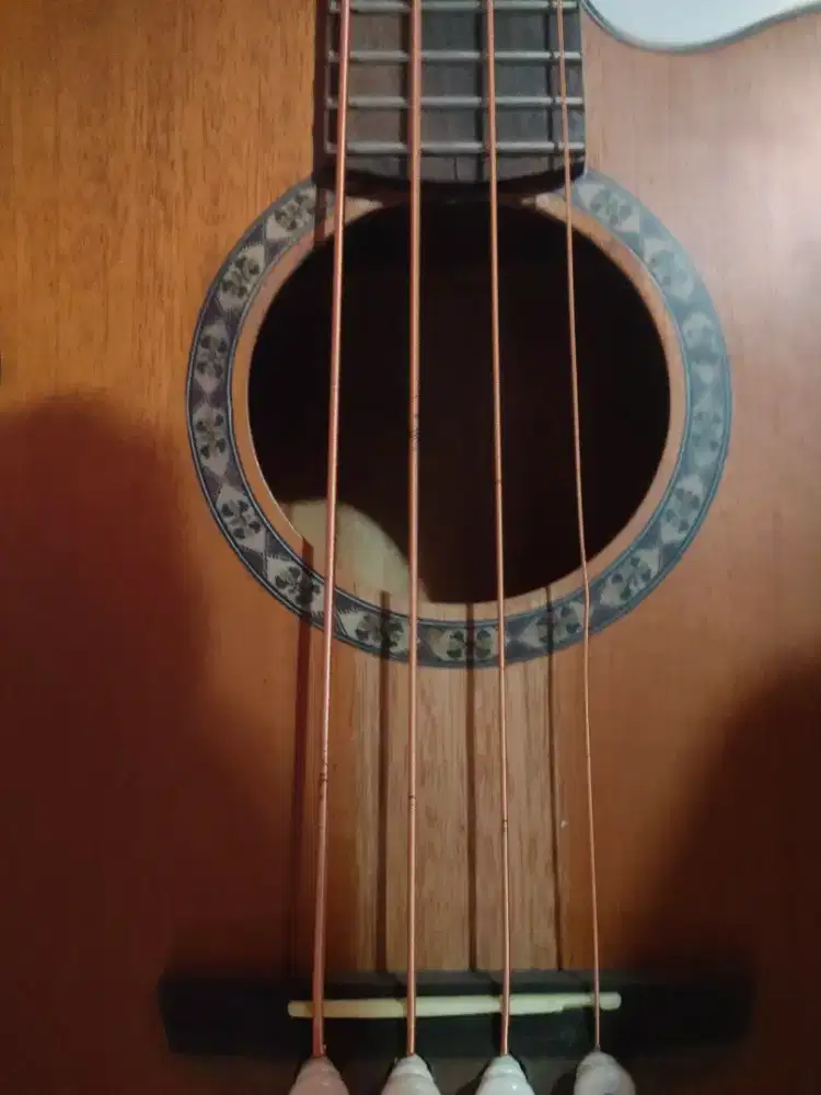 Bass akustik full solid ebony