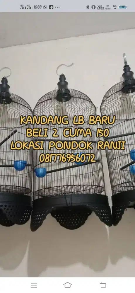 kandang lb baru