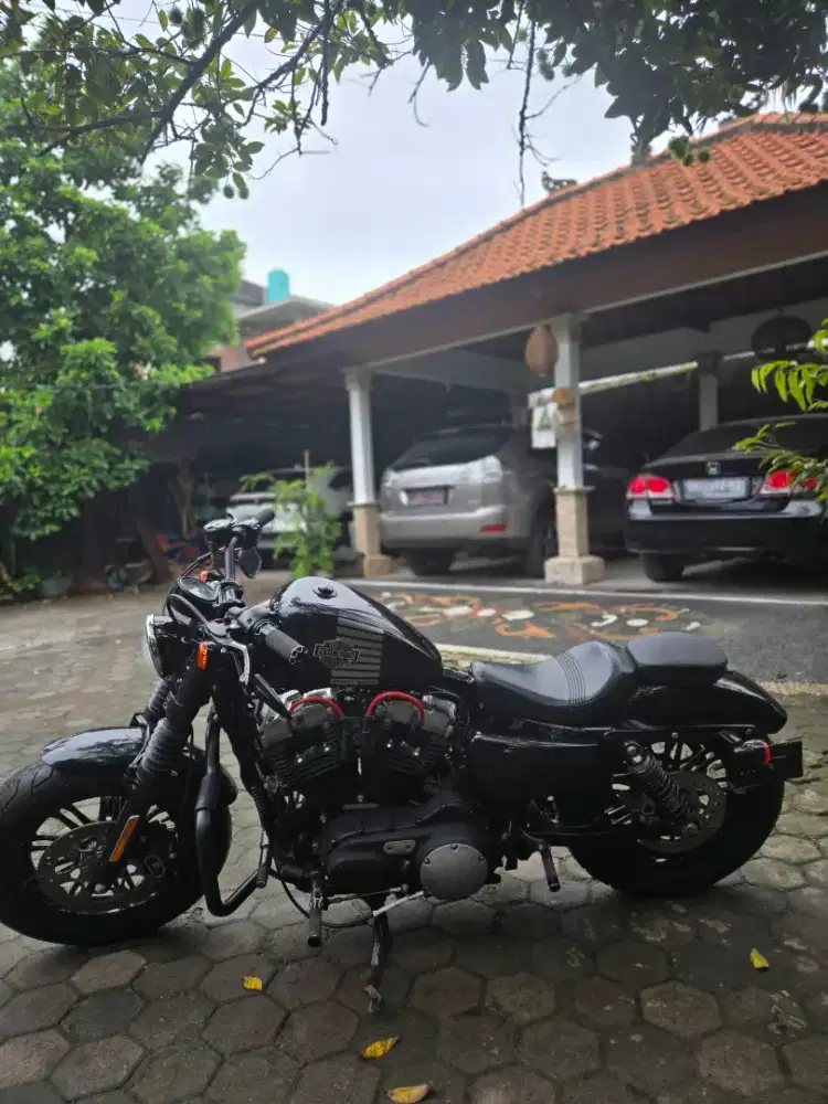 Harley Davidsion Sporster 48  2016