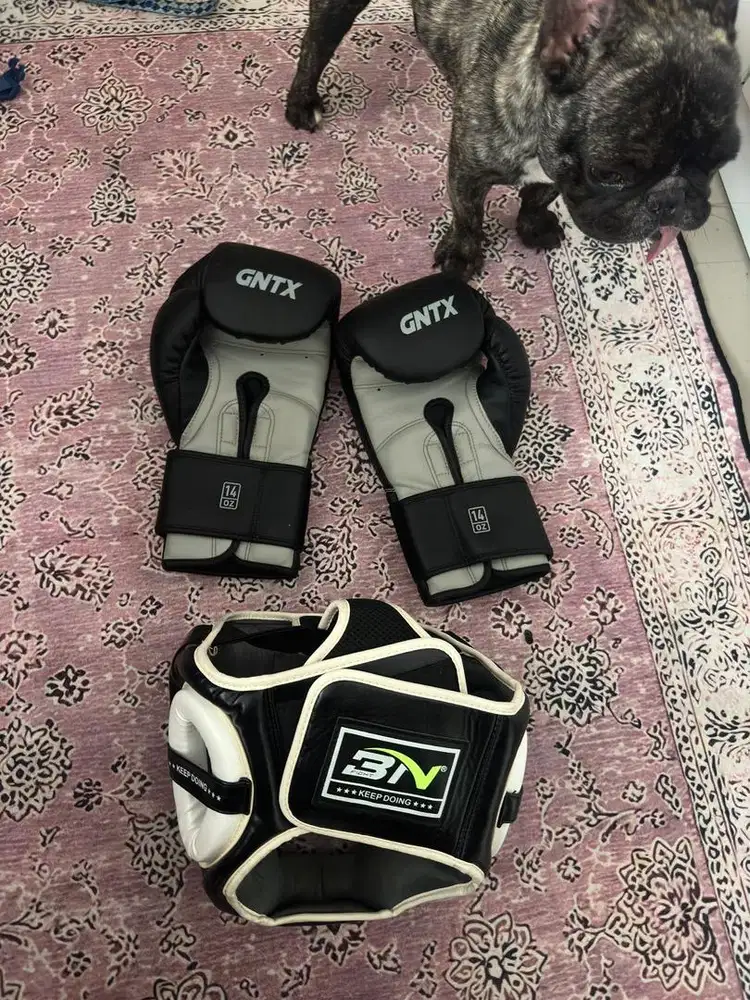 JUAL SATU SET SARUNG TINJU DAN PELINDUNG KEPALA