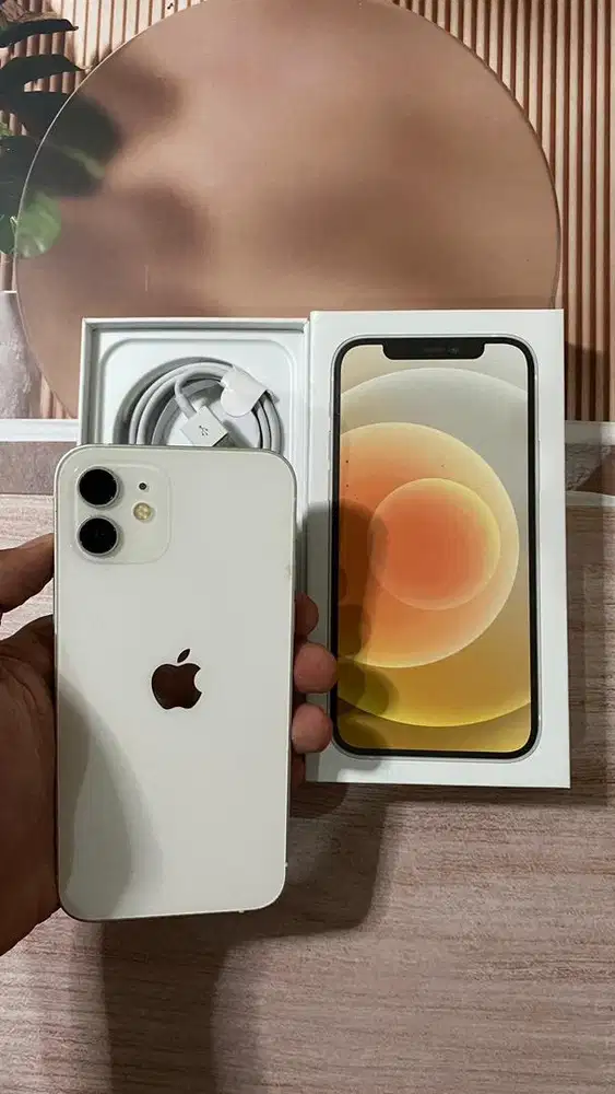 IPHONE 12 256 GB INTER