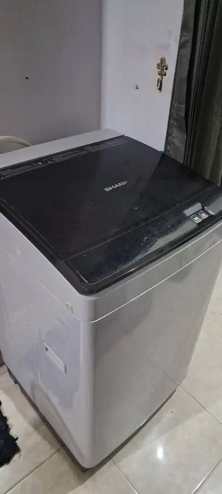 Mesin Cuci Sharp Top Loading 2024