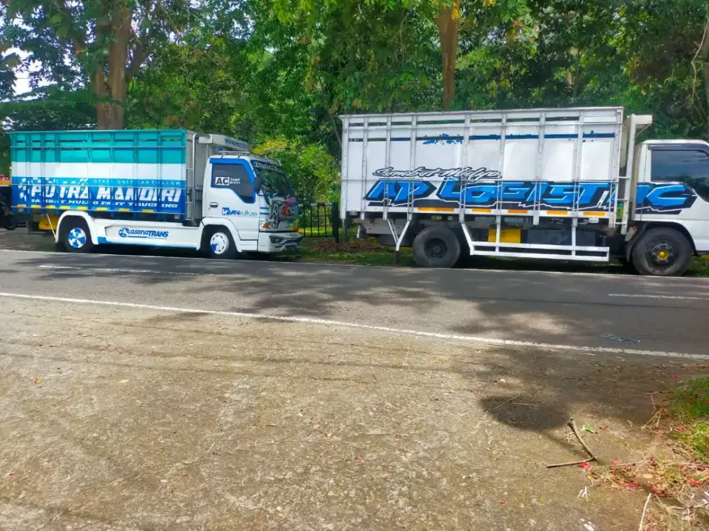 Jasa angkutan barang, pick up ,cde box , cdd bak dan box