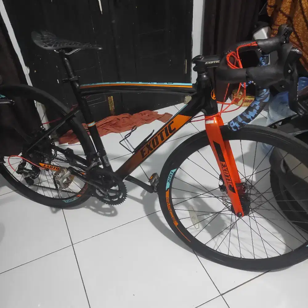 Sepeda road bike exotic