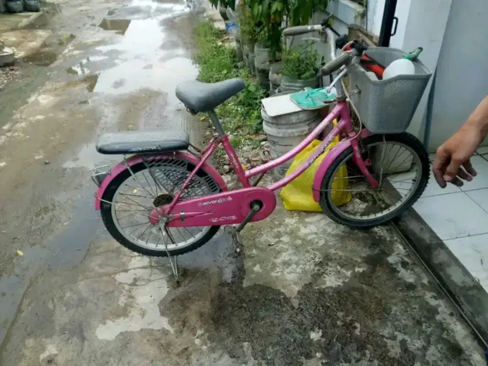 Sepedah ukuran 20