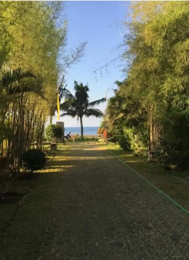 Modern Balinesse Villa for Sale