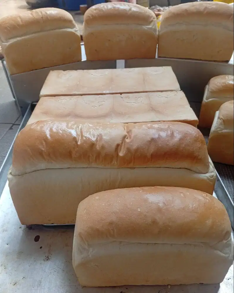 Produksi Aneka roti toas yogya