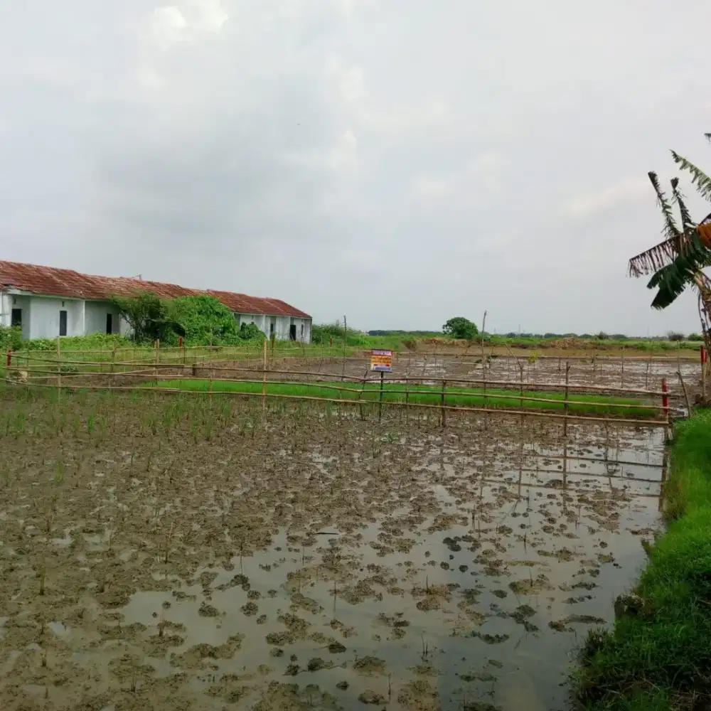 Dijual tanah siap bangun ex-kavling DepSos di Sukatani, Bekasi