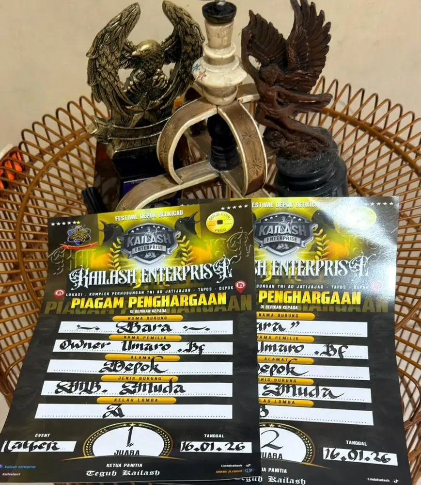 murai batu pastol PRESTASI ANGET LATPRESAN