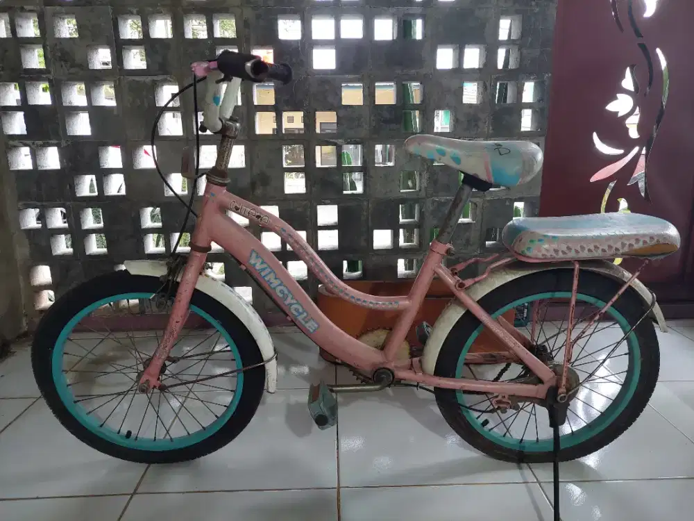 Sepeda anak perempuan
