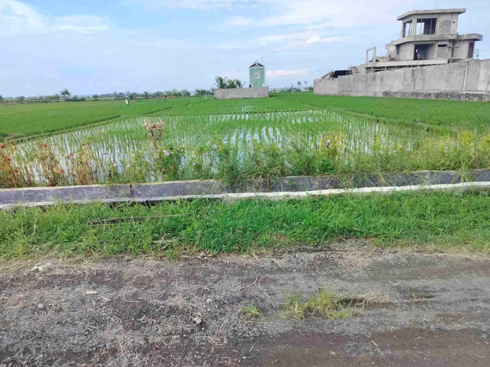 jual tanah dekat pantai pasut