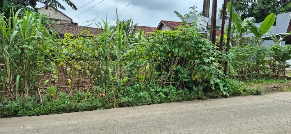 Jual Tanah Pinggir Jalan Raya Lewat Angkot