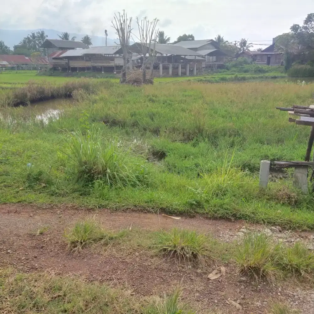 Tanah 200 meter di Gampong Bayu. dekat batoh