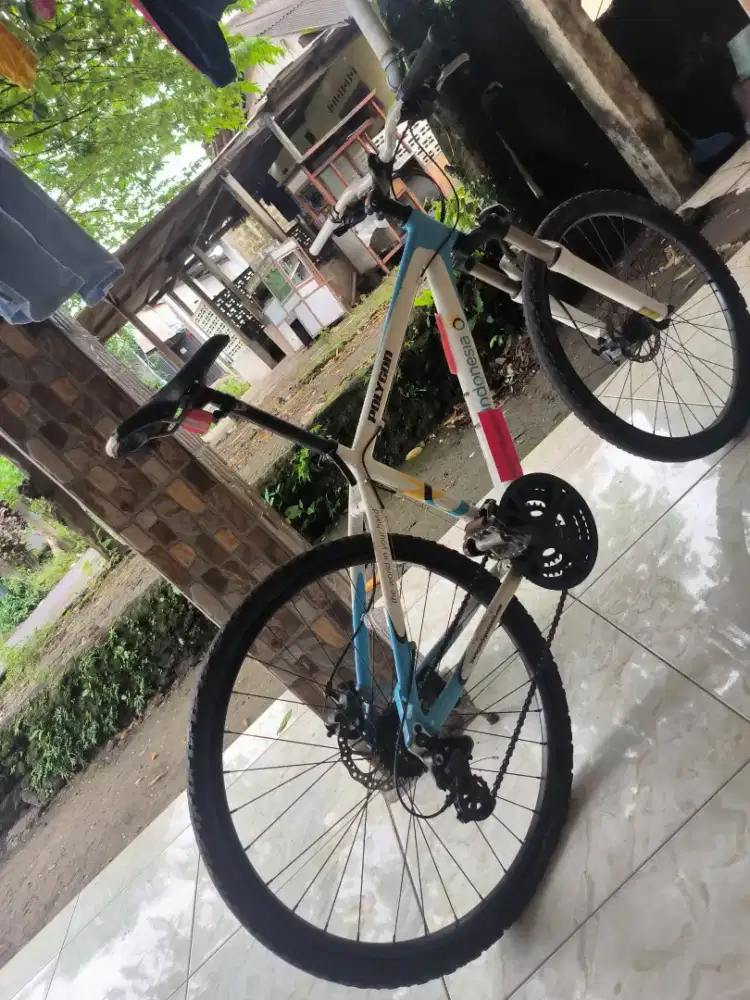 Sepeda Polygon tsr
