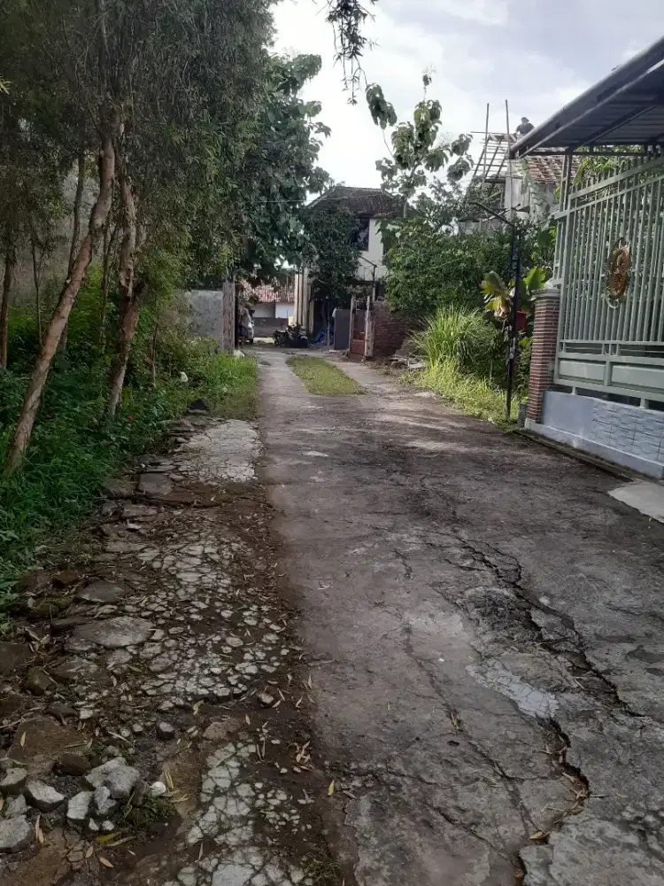 Tanah mayungan klaten