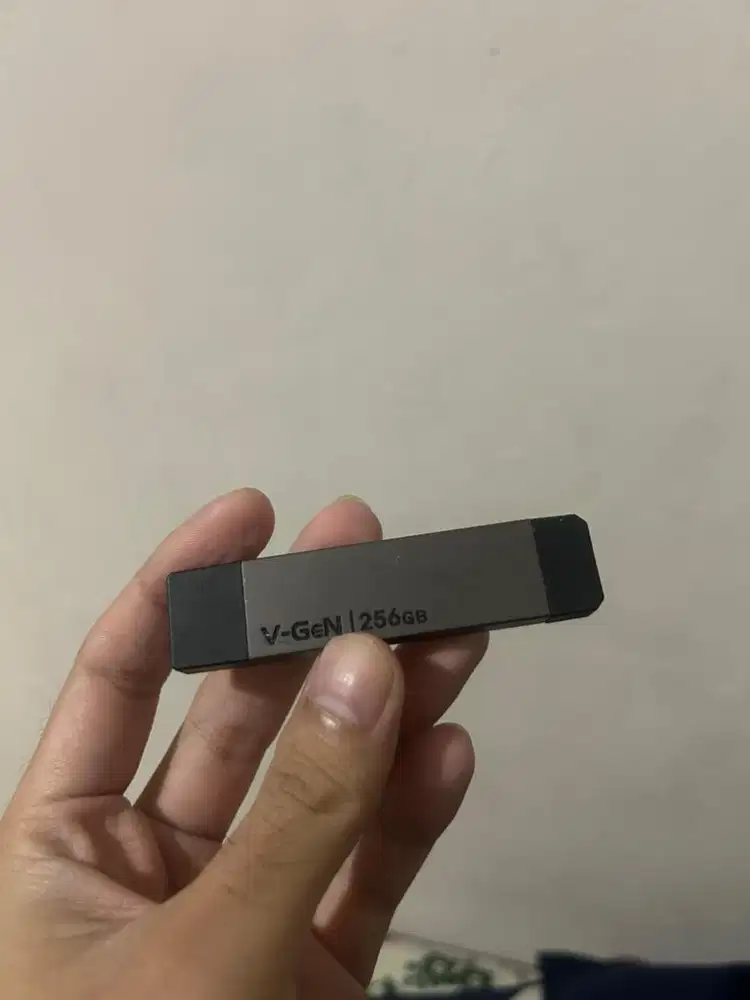SSD V-GEN 256GB
