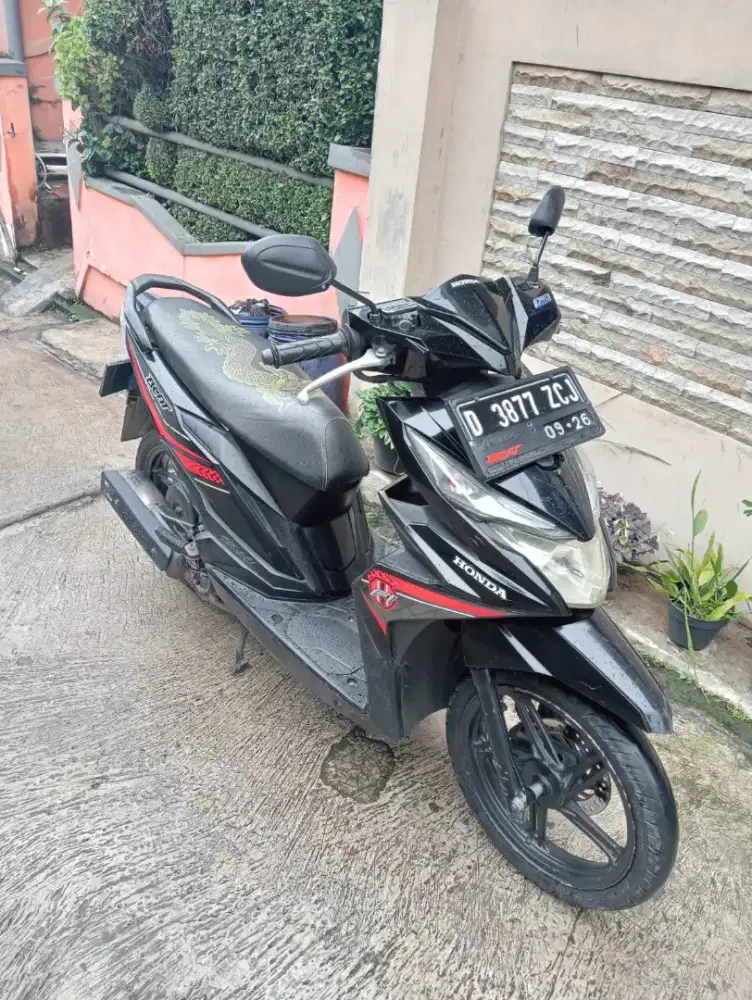 Beat eco mulus orsinil