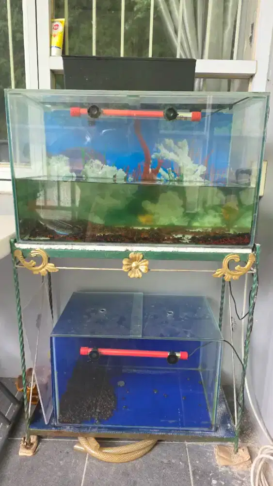 Aquarium ikan set