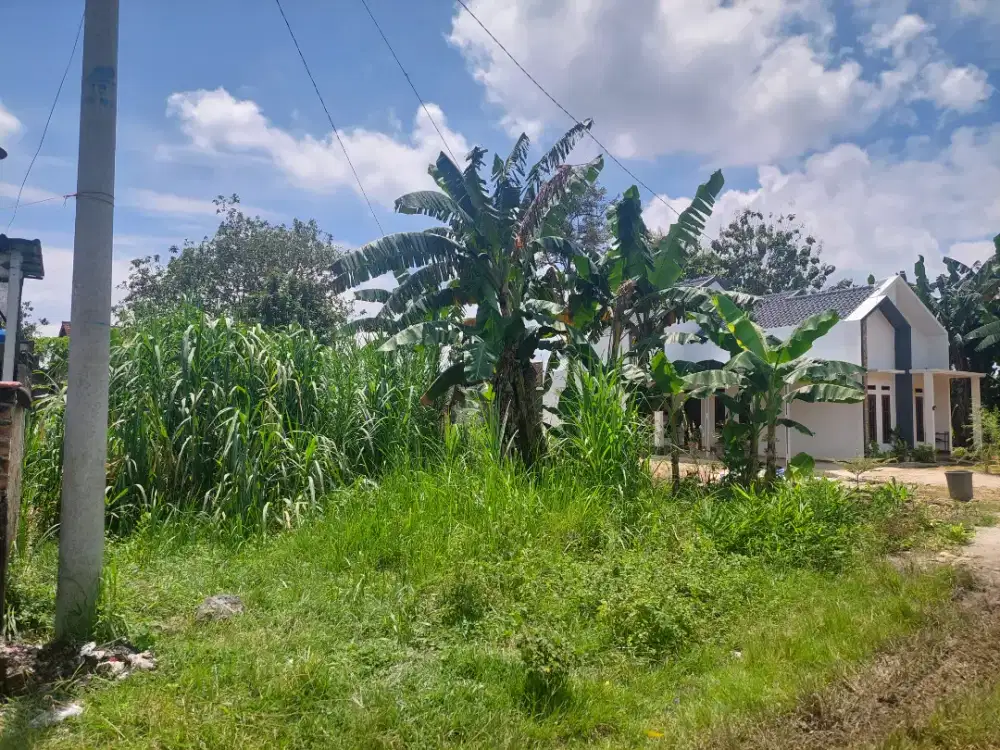 DIJUAL: Tanah Kavling Siap Bangun - Karang Anyar jati agung lamsel