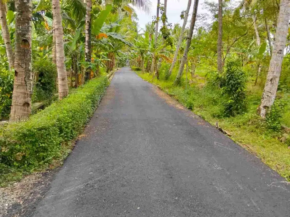 Tanah Dijual di Kulwaru Wates kulon Progo