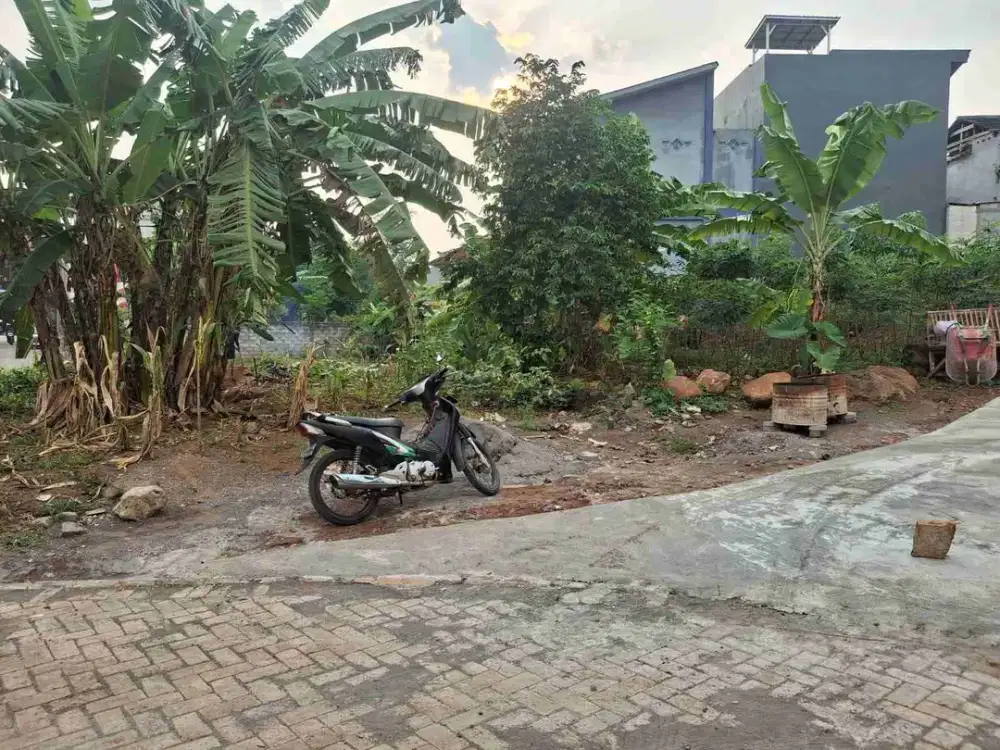 tanah di bulusan dekat kampus Undip