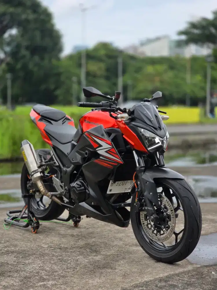 Kawasaki Ninja 250/Z250 Orange