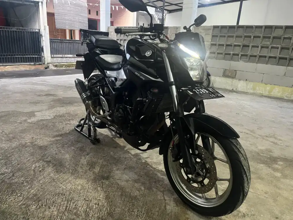 Yamaha MT25 2016 Terawat