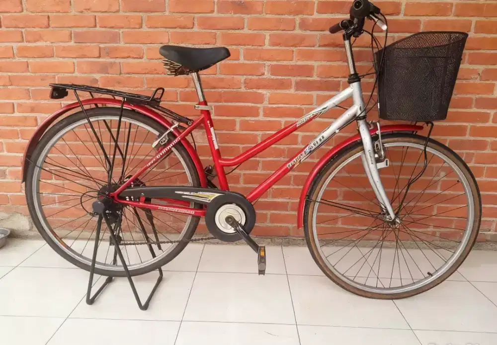 Sepeda mini keranjang polygon