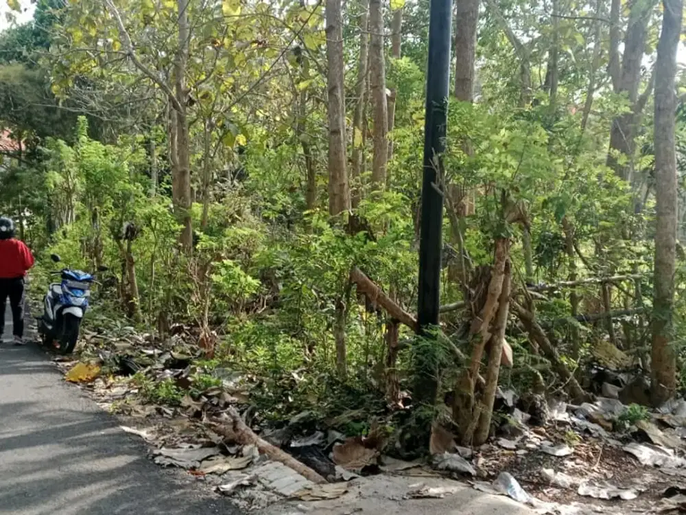 Dijual tanah gayang sari Luas 21 are