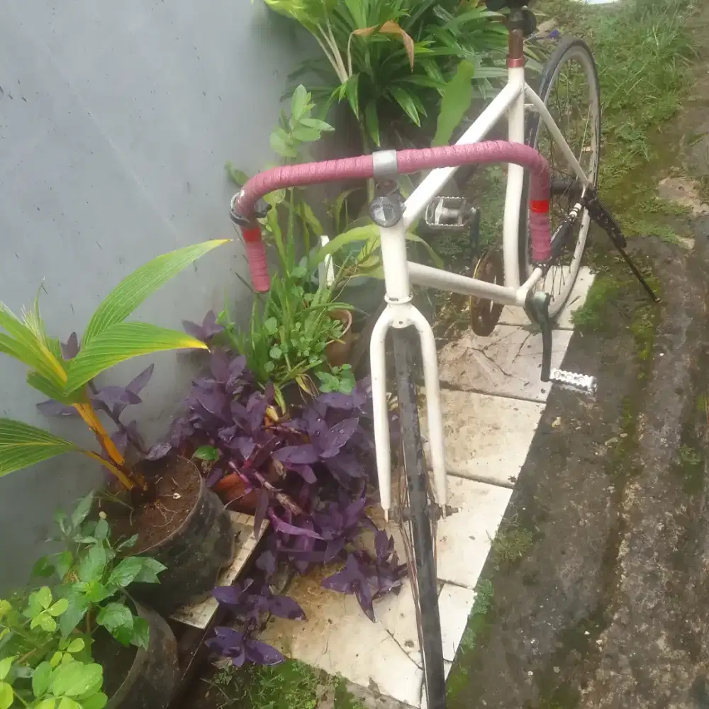 Sepeda dewasa sepeda fixie bagus murah