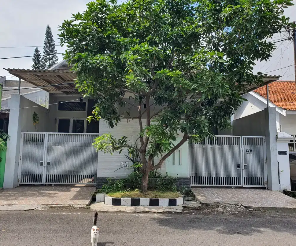 Rungkut Asri Timur II, Rungkut Kidul MEER