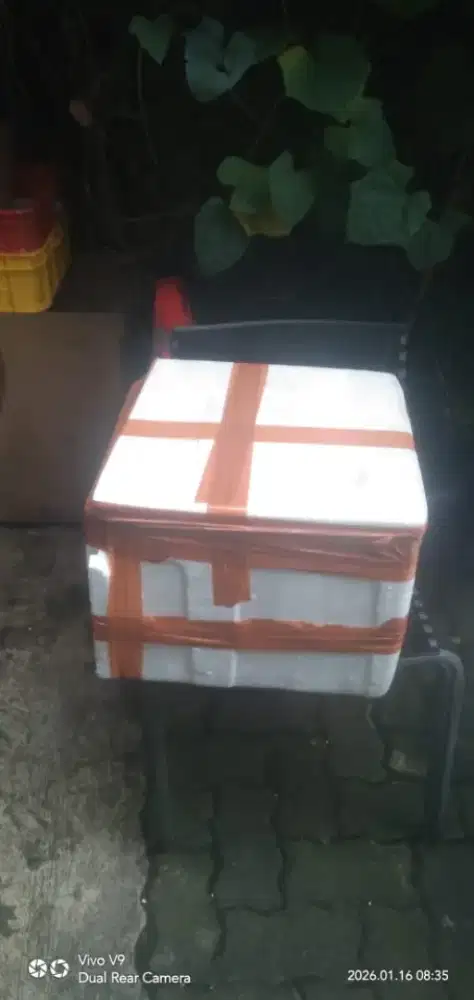 Dibutuhkan kurir motor