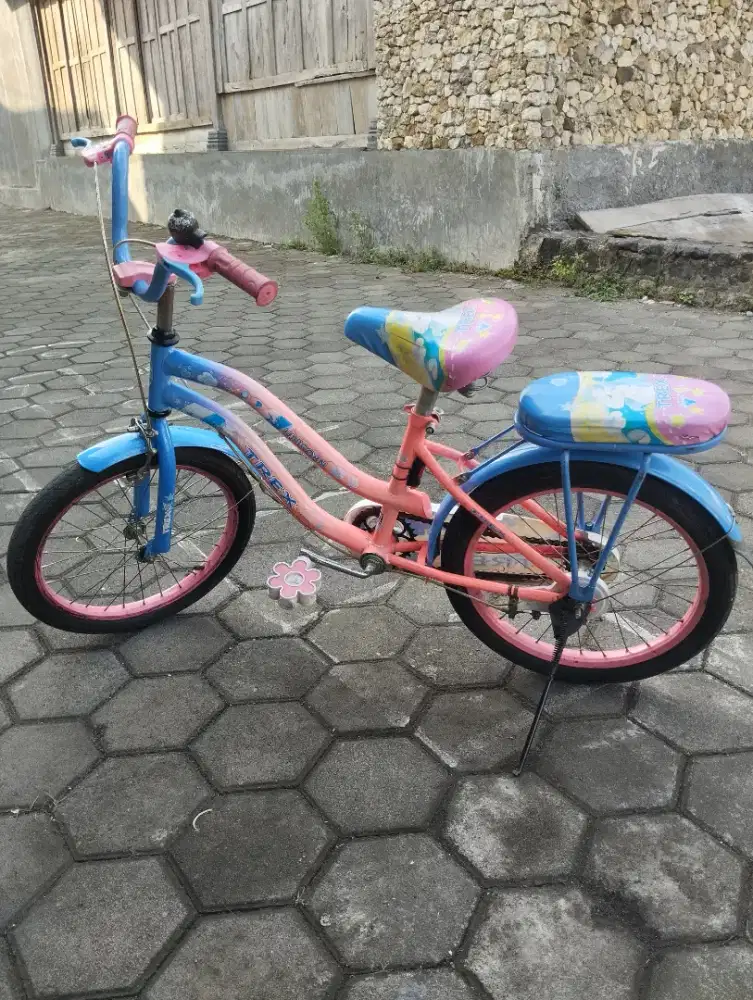 Sepeda Anak Perempuan 18