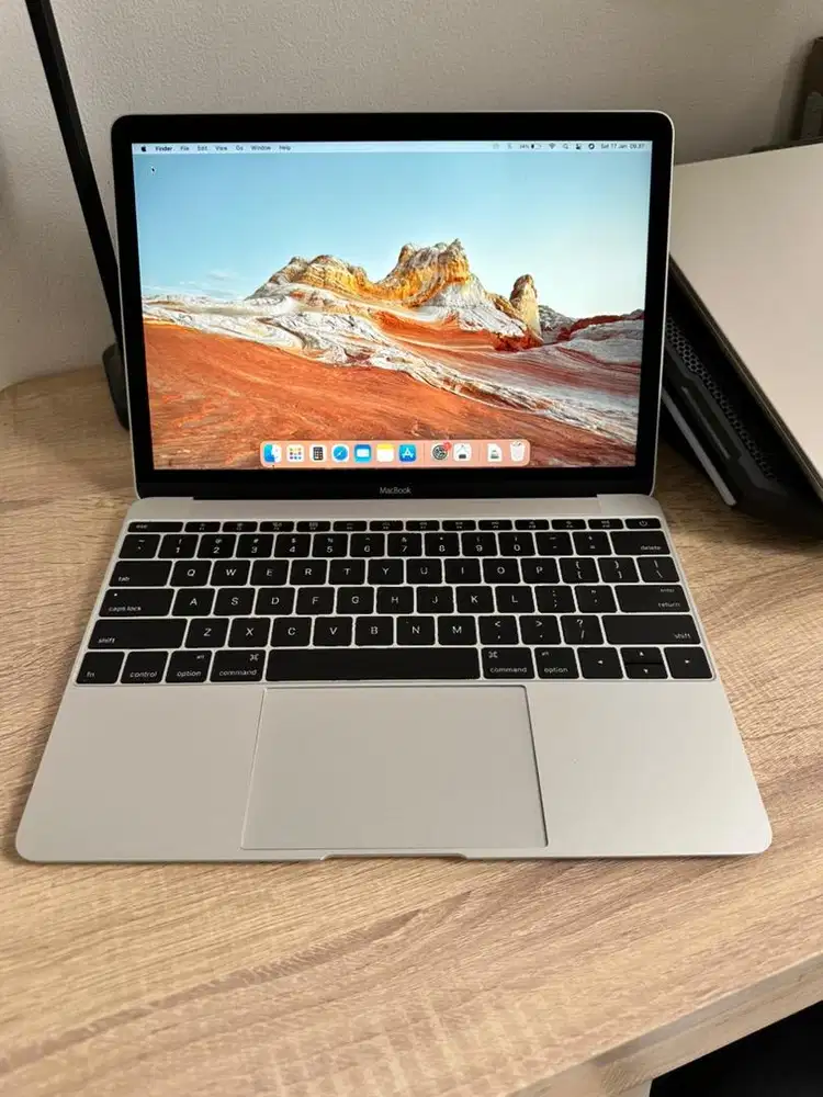 Macbook Retina 2015 12 inch 256gb