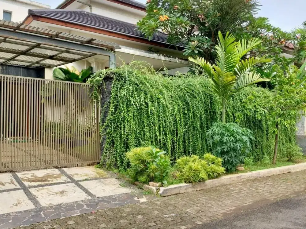 Dijual Rumah Cantik di Delman Tanah Kusir #265474