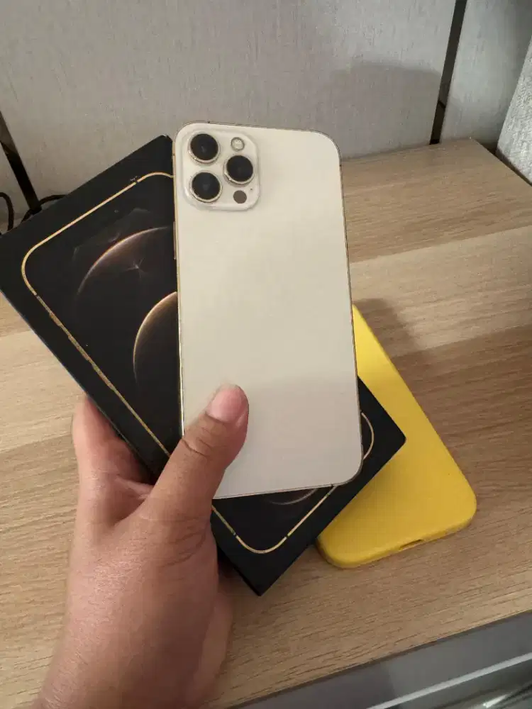 Iphone 12 Pro Max 256GB termurahh