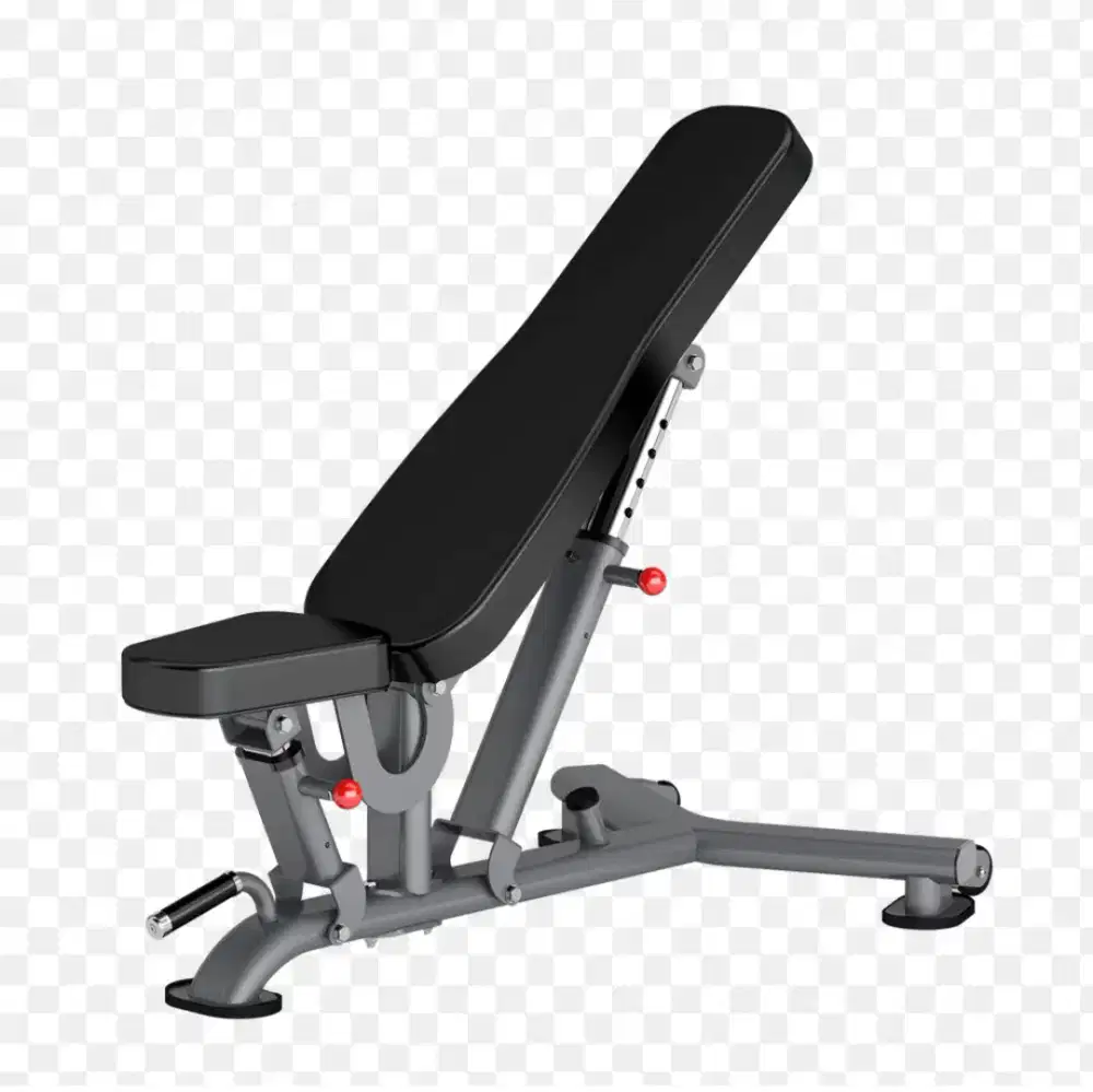 Adjustable bench Insight DR016