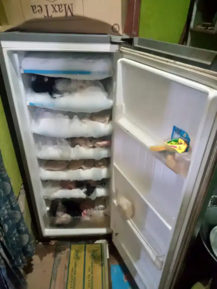 freezee rak masih bagus