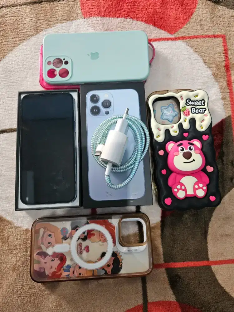 JUAL IPHONE 13 PRO MAX 256 GB (FREE CASING MELIMPAH)