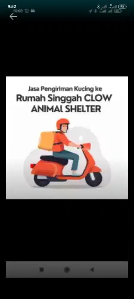 Terima jasa anter jmput kucing &antr jmput ank sekolh bsa