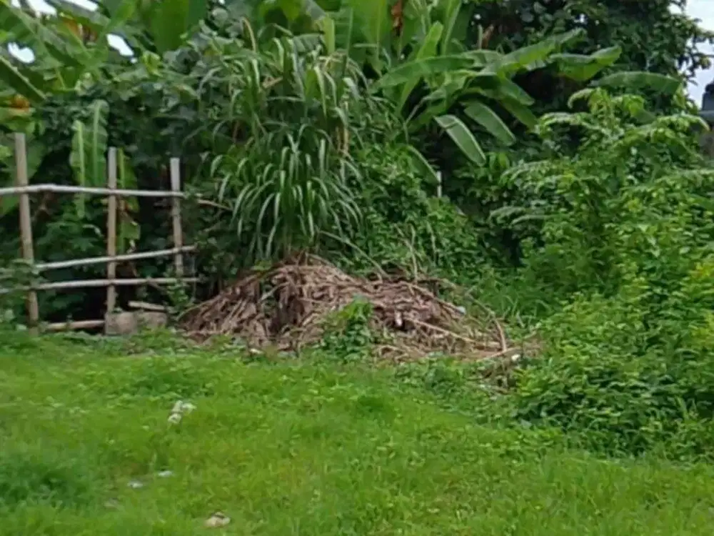 Tanah 1,7 Are Dekat Pusat Kuliner Dijual di Sumerta, Denpasar Area