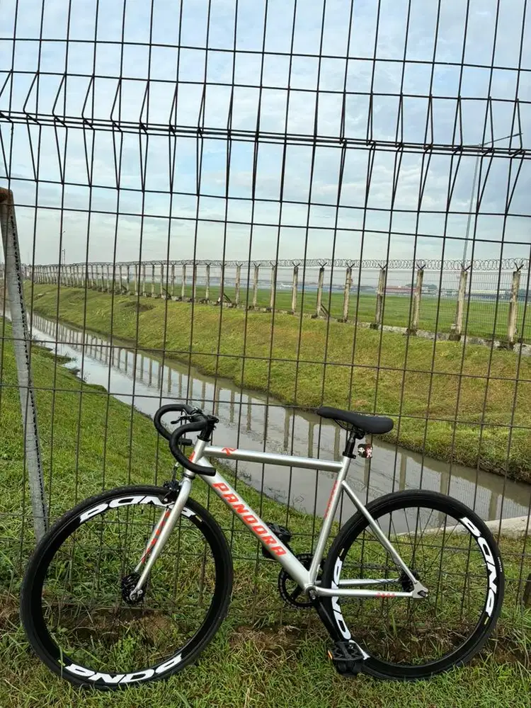 Sepeda Element Pandora Doltrap