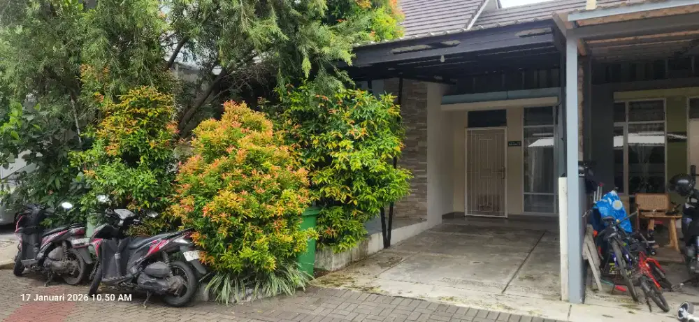 Dikontrakan rumah di bukit cimanggu city cluster aman