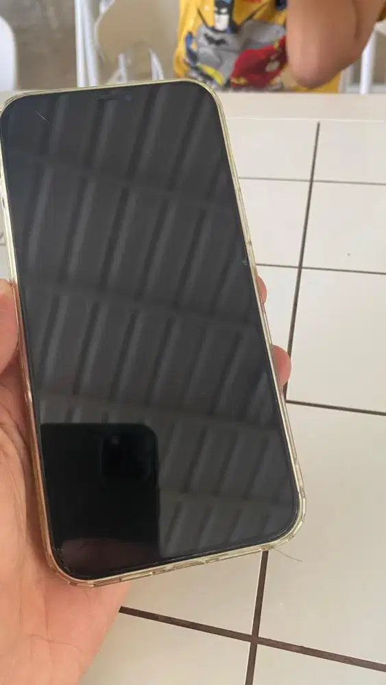 Iphone 12 Pro Max 256gb