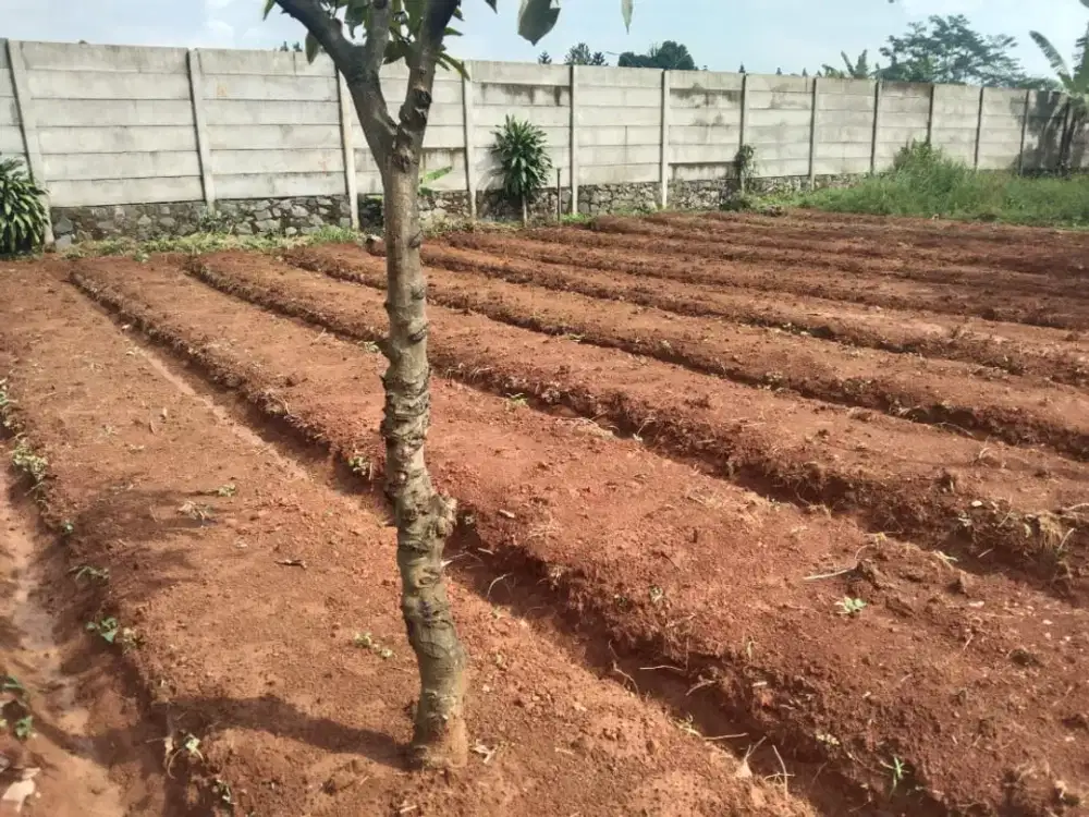 Tanah bagus 100 m2 dekat LIPI Cibinong Bogor