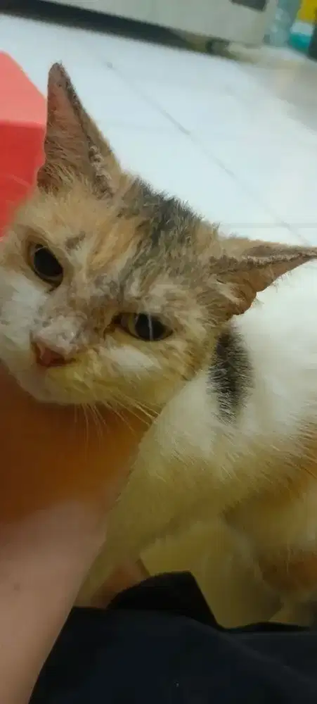 Butuh pekerjaan daerah bekasi