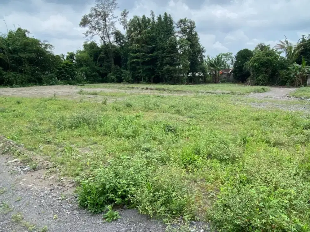 2 Tanah SHM Murah Area Purwomartani dan Pakem Sleman